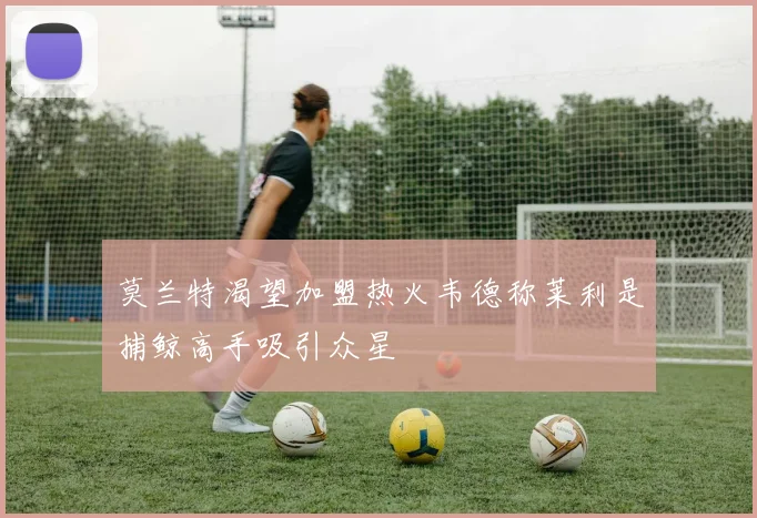 莫兰特渴望加盟热火韦德称莱利是捕鲸高手吸引众星