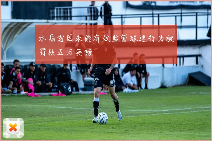 水晶宫因未能有效监管球迷行为被罚款五万英镑